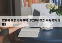 软件开发公司好做吗（软件开发公司好做吗现在）